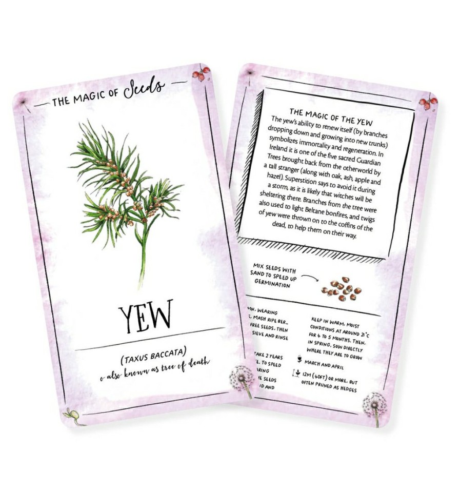 Wellbeing David and Charles | The Magic Of Seeds Card Deck