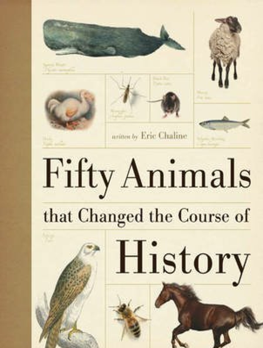 Pets David and Charles | Fifty Animals That Changed The Course Of History