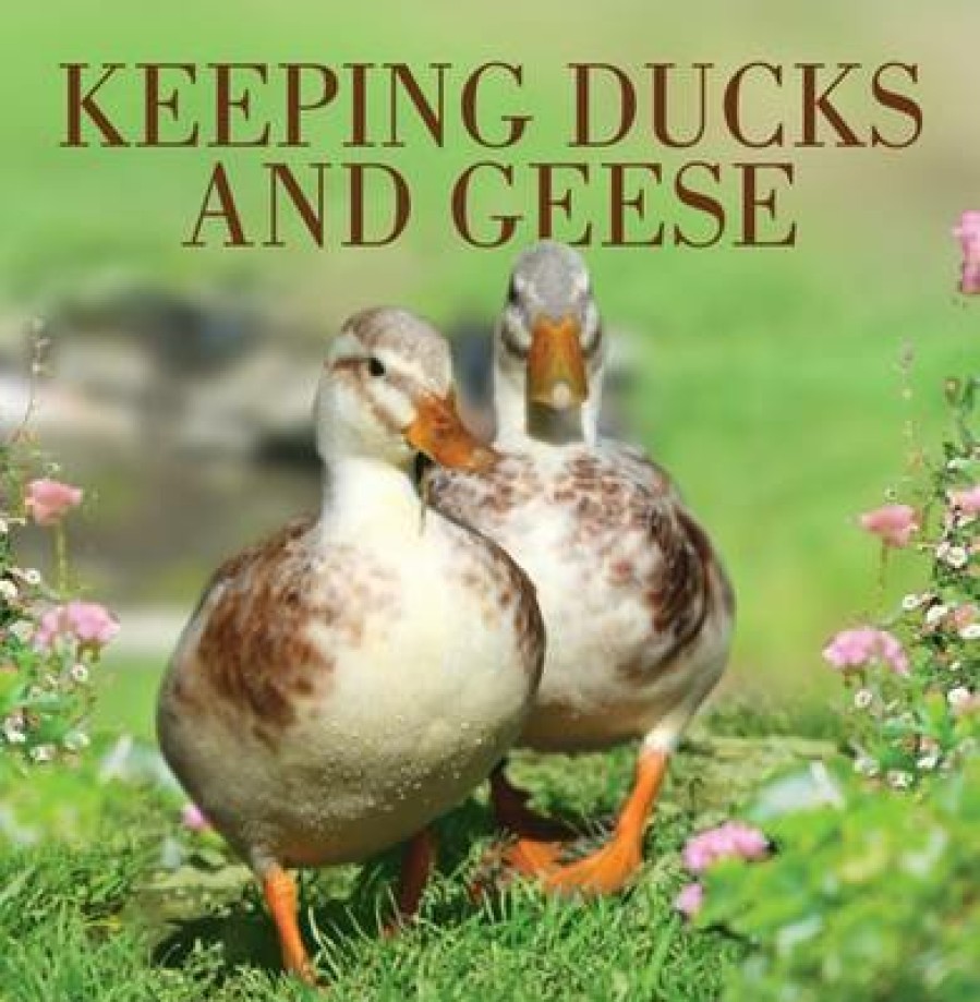 Pets David and Charles | Keeping Ducks And Geese