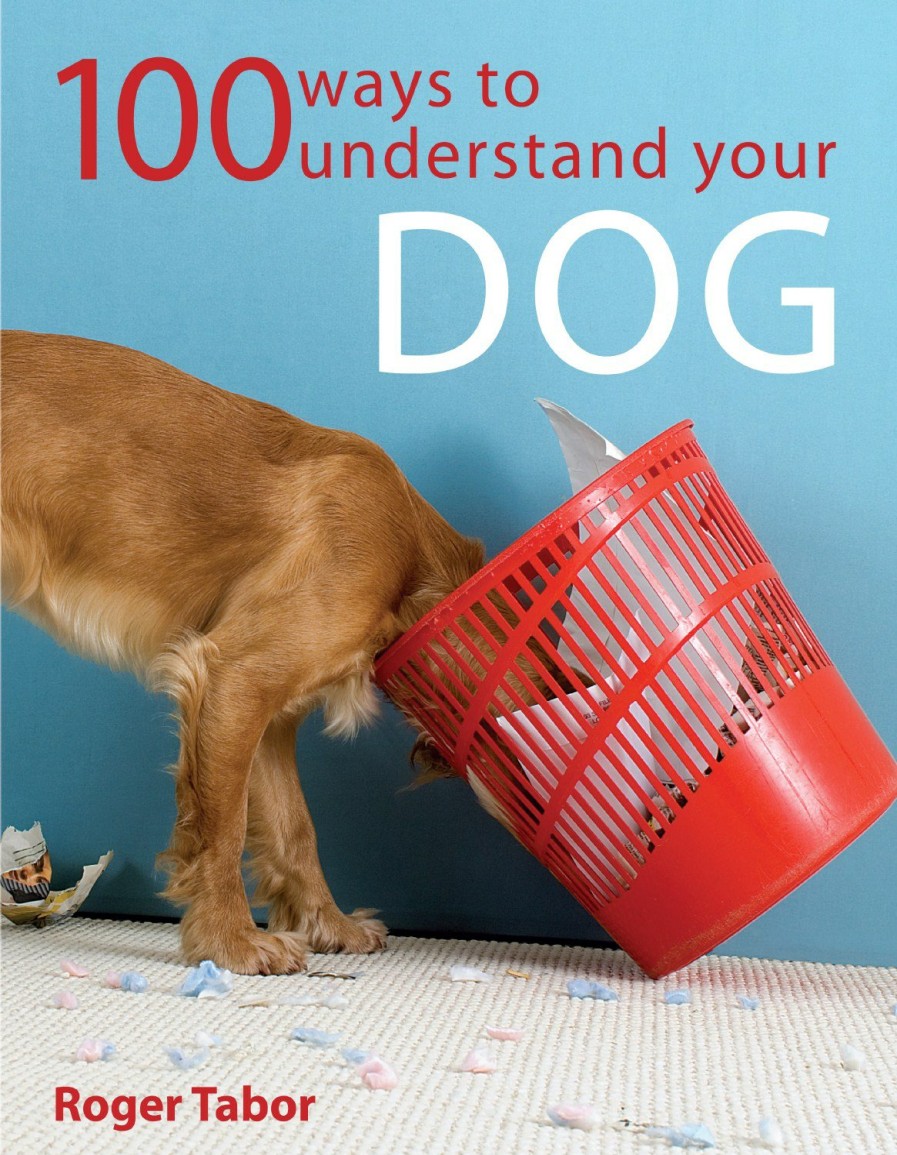 Pets David and Charles | 100 Ways To Understand Your Dog