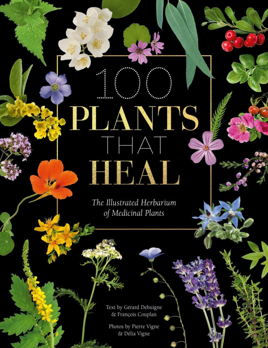 Wellbeing David and Charles | 100 Plants That Heal