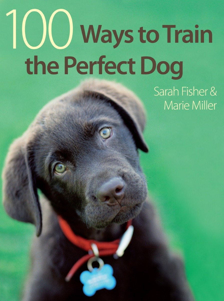 Pets David and Charles | 100 Ways To Train The Perfect Dog