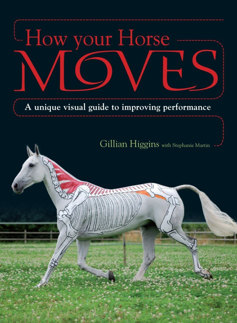 Equestrian David and Charles | How Your Horse Moves