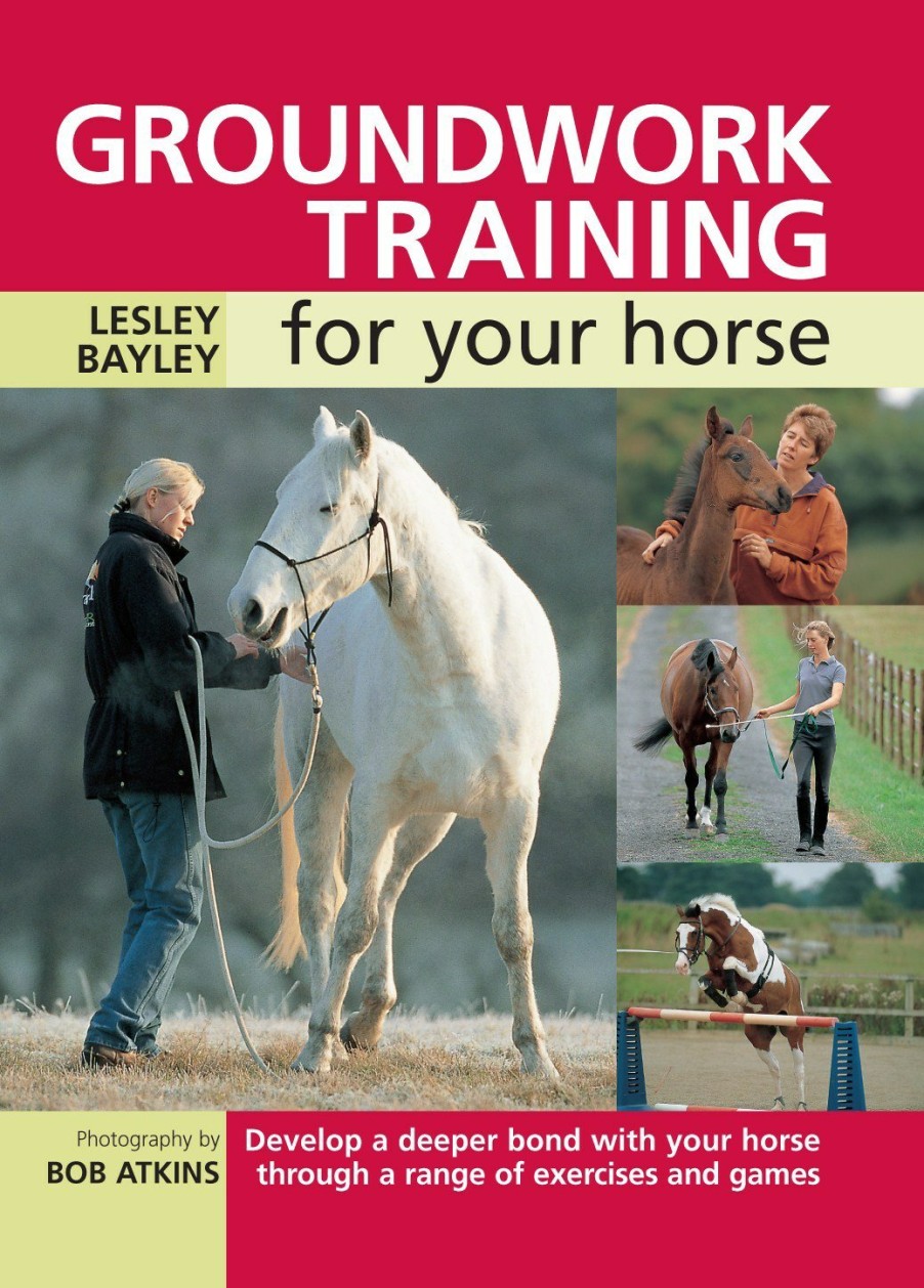 Equestrian David and Charles | Groundwork Training For Your Horse