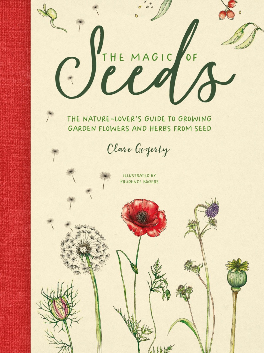 Wellbeing David and Charles | The Magic Of Seeds