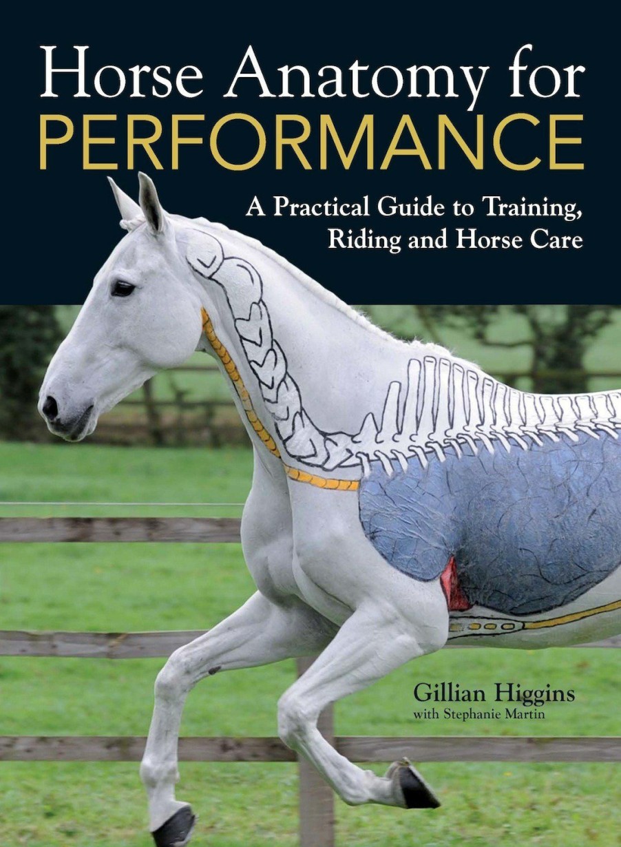 Equestrian David and Charles | Horse Anatomy For Performance